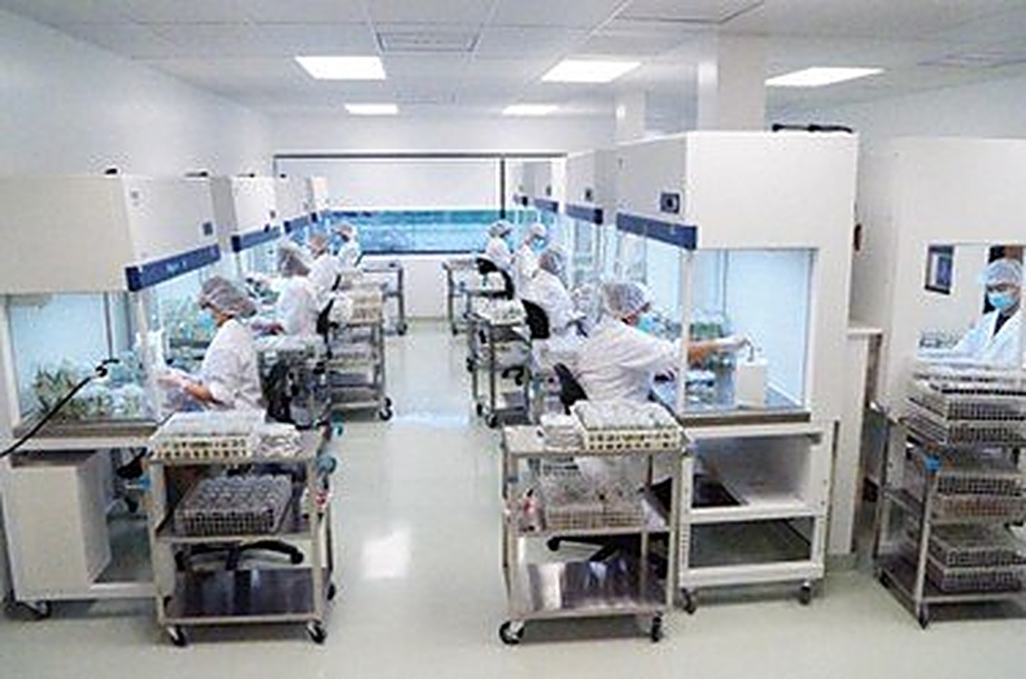 Technicians in clean-room gear working at laminar flow hoods